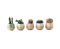 SUN-E, set di 5 vasi per piante in ceramica smaltata da 5,6 cm, in colori base, adatti per le piante grasse