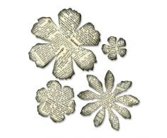 Sizzix Textured Impressions Embrossing Folder 2Pk, Rosa Rampicante & Graticcio, Acciaio Inossidabile, Bianco, 2.2X13X18.5 cm