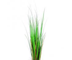 Euro Palms 82600141 - Decorazione ornamentale (pianta), 150 cm