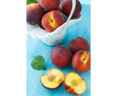 Albero di Pesco Noce Big Top pianta di pesca noce varietà Big Top Età 2 anni già innestata pianta da frutto di pesca noce pianta vera di pesche noci venduta da eGarden.store