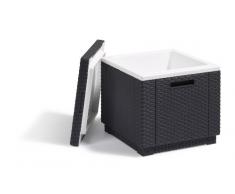Allibert 201309 Ice Cube Sgabello frigorifero in plastica, aspetto rattan, colore: Antracite