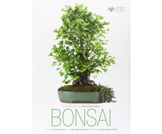 Bonsai