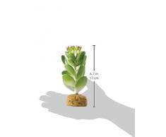 Askoll 281658 Cactus Artificiali per Terrari: Dita e Star Giada Giada