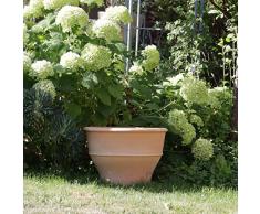 Kreta-Keramik - Vaso per fiori in terracotta resistente al gelo, 50 cm, grande, in ceramica per esterni, giardino, terrazza, Buxus