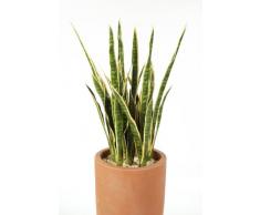 Sansevieria decorativa su gambo artificiale, verde-giallo, 80 cm - Pianta grassa / Sansevieria artificiale - artplants