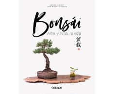 Bonsái: Arte y Naturaleza