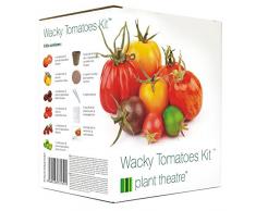 Plant Theatre Kit di Semi Pomodoro Stravagante - Kit Giardinaggio con 6 Varietà di Pomodori per Piante Interno, Orto e Giardino