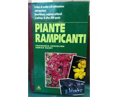 Piante rampicanti