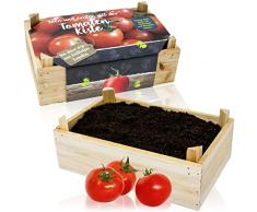 Selldorado® Serra Interna con Semi e Terreno di Coltivazione - Mini Serra per pomodori - Set di Coltivazione/Vassoio di Semi per Bambini e Adulti (Pomodoro)