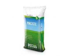 Bottos MACISTE, Sementi per tappeto erboso, Semi per prato extra forte resistente alla siccità ideale per zone aride e qualsiasi condizione ambientale, 5Kg per 200mq