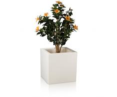 Fioriera di plastica CUBO 50, 50x50x50 cm, bianco opaco