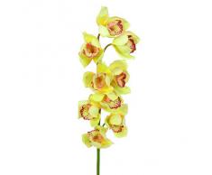 Euro Palms 82530314, Pianta Ornamentale: Ramo di Cymbidium, 90 cm, Gelb, Giallo (Gelb)