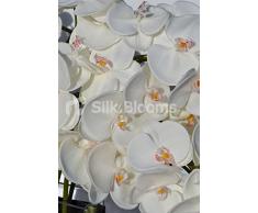 Moderno orchidea bianca artificiale floreale display con vaso in vetro e pietre nere