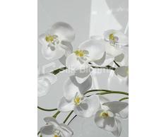 Orchidea Phalaenopsis artificiale bianco &-Vaso in vetro, con motivo floreale