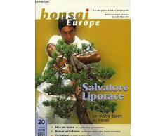 Bonsai Europe N°20 : Salvatore Liporace, un maitre italien au travail. Un if, géant plus que centenaire. Le Roi des arbres nains, Buxus microphylla. Un hêtre en style radeau.
