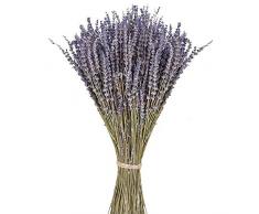 PTVwire - Mazzo di lavanda secca, 100% naturale, per la decorazione domestica, fragranza per la casa, fiori per saponi fatto a mano