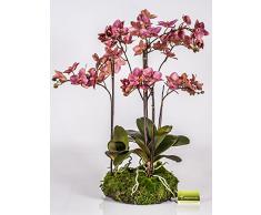 Orchidea artificiale Phalaenopsis PABLA con ceppo di muschio, rosa, 80 cm - Orchidea soggiorno / Orchidea elegante - artplants