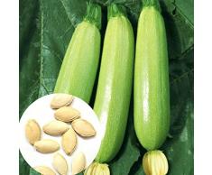 20 pz piccola confezione di semi di zucchine | Kit per la coltivazione di semi di zucchine vegetali verdi facili da piantare Semi 1 taglia