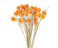 HUAESIN 30PCS Bouquet Fiori Secchi Decorativi Fiori Secchi Naturali Mazzo Fiori Secchi Composizioni Arancia Fiori Essiccati per Vasi Rami Fiori Secchi Interno per Decorazioni Casa Matrimonio DIY