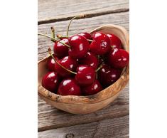 Albero di Ciliegio pianta di ciliegia in vaso varietà Marasca Età 2 anni pianta vera di ciliegio venduta da eGarden.store