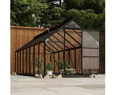 Kstyhome Serra per Piante Serra da Esterno Serra in Policarbonato Serra da Giardino Serra in Vetro Antracite 155x395,5x191 cm Telaio in Alluminio