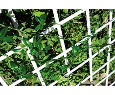 Catral 43060005 – Graticcio Decorativo Estensibile in PVC, 1,0 x 300 x 100 cm, Colore: Bianco
