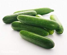 BIO - Insalata di cetrioli - semi biologici certificati - semi