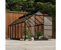 Leepesx Serra per Piante Serra da Esterno Serra in Policarbonato Serra da Giardino Serra in Vetro Antracite 155x298x191 cm con Telaio in Alluminio