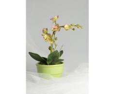 Orchidea artificiale ZEHRA in zolla di terra con radici aeree, rosa-verde, 30 cm - Orchidea decorativa / Fiore con foglie - artplants
