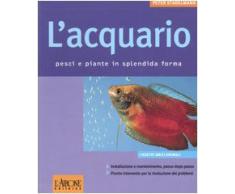 L'acquario. Pesci e piante in splendida forma