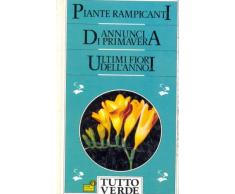 Tutto verde 5 - Piante rampicanti - Annunci di primavera - Ultimi fiori dellanno