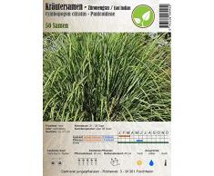 Semi di erbe - Citronella/East Indian - Cymbopogon citratus - Panicoideae 50 Semi