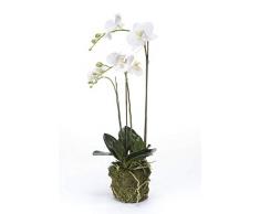 Orchidea artificiale Phalaenopsis PABLA con terriccio, bianco-giallo, 70 cm - Orchidea ornamentale / Fiore artificiale - artplants