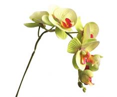 LPxdywlk 1 Fiore Artificiale Simulazione Fiore Finto Farfalla Orchidea Fai da Te Decorazione della Festa Nuziale Decorazione della Casa Interna Verde