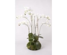 Orchidea artificiale Phalaenopsis PABLA con ceppo di muschio, bianco, 80 cm - Orchidea soggiorno / Orchidea elegante - artplants
