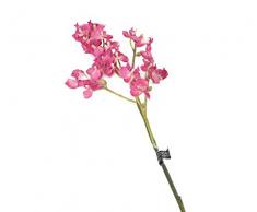 Floral Elegance 69 cm, Miniatura Artificiale Orchidea Phalaenopsis Stelo Singolo