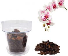 Kalapanta Kit per Rinvasare Le Orchidee: 1 Vaso Trasparente Ø 16cm con Fori drenaggio, 1 Sottovaso Ø 14cm e Terriccio specifico per Orchidee