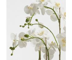 Orchidea artificiale ALICIA in ciotola, 6 rametti, bianco-giallo, 80 cm - Orchidea in vaso / Orchidea Phalaenopsis - artplants