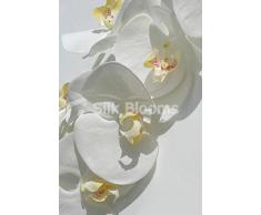 Orchidee Phalaenopsis artificiali, colore: bianco reale orchidee, colore: bianco