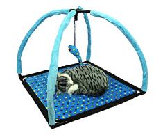 Pet Ting Blu Gatto Campeggio Area Gioco Tenda Giocattolo attività Pad con Play Mouse