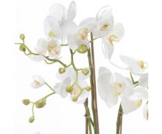 Orchidea artificiale Phalaenopsis PABLA con terriccio, bianco-giallo, 80 cm - Pianta da interno / Pianta appartamento - artplants