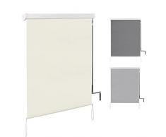 WOLTU Tenda da Sole Verticale Tenda a Rullo per Esterno Tenda da Sole a Caduta con Manovella Tenda per Balcone Avvolgibile Oscurante Protezione Sole Vento per Gazebo Giardino, Beige 140x240 cm