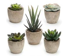 Coitak Piante grasse artificiali in vaso, set di 5 piante grasse decorative assortite in vaso, finte piante di cactus finte con vaso