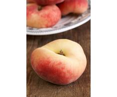 Albero di Pesco pianta di pesco Età 2 anni già innestata pianta da frutto di pesca pianta vera in vaso di pesche venduta da eGarden.store (Platicarpa o Piatta)