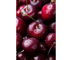 pianta di Ciliegio albero di ciliegia varietà Durone Nero Di Vignola III in vaso Età 2 anni pianta vera di ciliegio venduta da eGarden.store