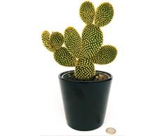 POWERS TO FLOWERS - FICO DINDIA, OPUNTIA COMPATTA A SPINA GIALLA, VASO COCCIO 15CM DIAMETRO, pianta vera