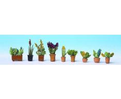Piante ornamentali in vaso HO (9 pz)