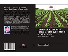 Tolérance au sel de la canne à sucre (Saccharum officinarum L): Salinité du sol et canne à sucre