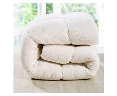 Trapunta Calda Inverno Lana Trapunta Spessa Trapunta Cashmere Plus Velluto Tessuto Trapunta Extra Large Matrimoniale Plus Velvet (Colore: Bianco, Misura : 220cmx240cm 5kg)