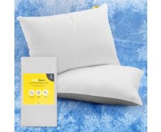 Cosi Home Federe Cuscini Letto rinfrescanti di lusso 50*80 cm (confezione da 2) Q-Max 0.45, bilaterale per uso tutto lanno, copricuscino setoso, fresco e traspirante, Lavabile in lavatrice - Grigio